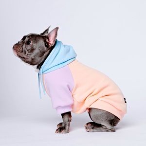 Dog Hoodie
